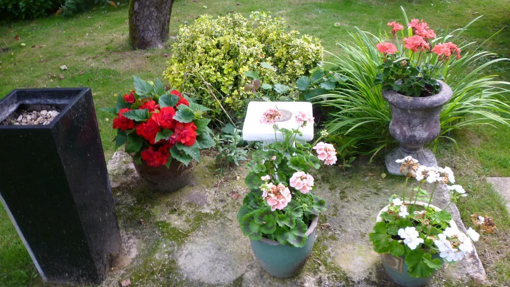 Hopewell Self-Catering Leilighet Gravesend Eksteriør bilde