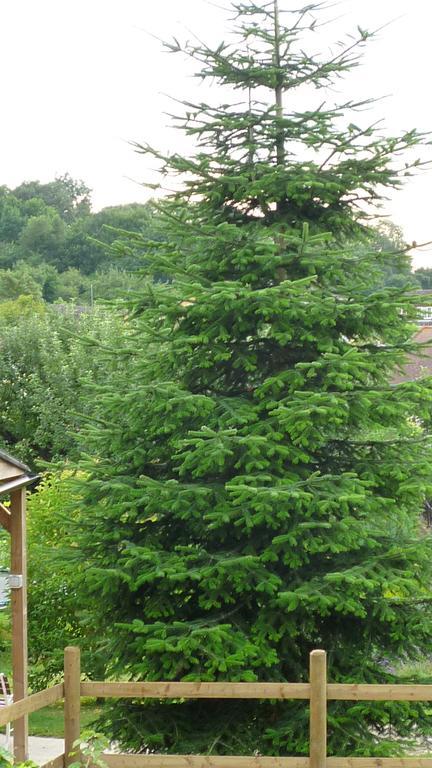 Hopewell Self-Catering Leilighet Gravesend Eksteriør bilde