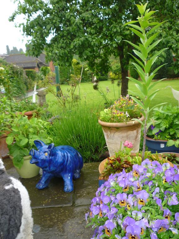 Hopewell Self-Catering Leilighet Gravesend Eksteriør bilde